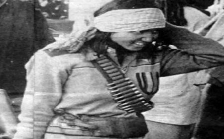 अरे डरपोकों!