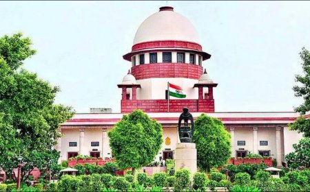 सर्वोच्च न्यायालय का सुप्रीम फैसला