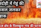 हाई वोल्टेज तार की चिंगारी से डेढ़ बीघा गेहूँ की फसल राख, ग्रामीणों की सूझबूझ से बड़ा नुकसान होने से बचा