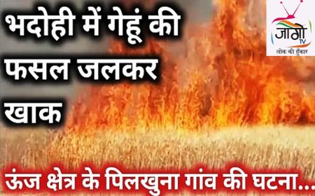 हाई वोल्टेज तार की चिंगारी से डेढ़ बीघा गेहूँ की फसल राख, ग्रामीणों की सूझबूझ से बड़ा नुकसान होने से बचा