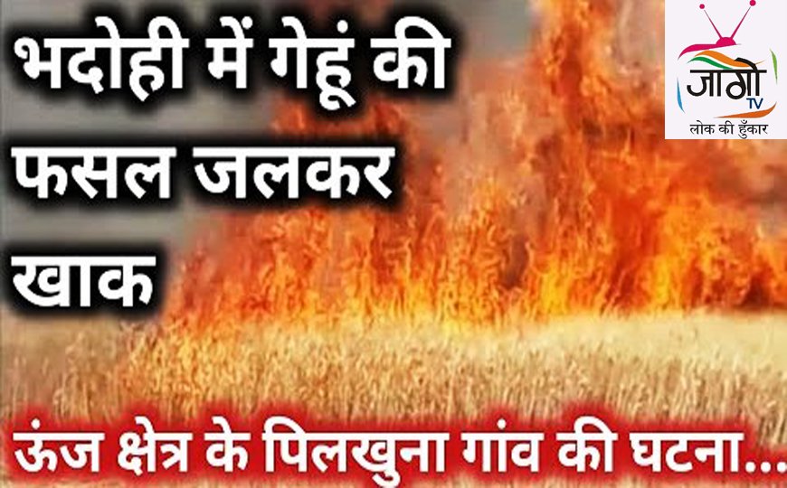 हाई वोल्टेज तार की चिंगारी से डेढ़ बीघा गेहूँ की फसल राख, ग्रामीणों की सूझबूझ से बड़ा नुकसान होने से बचा