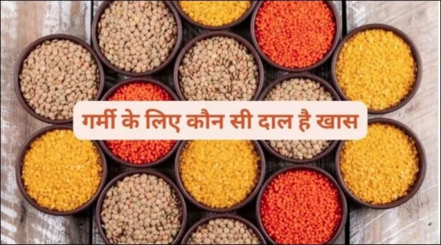 गर्मी में इन दालों का सेवन करें शुरू, मिलेगा ठंडक का अहसास और पाचन होगा मजबूत