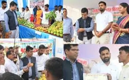 लोहरदगा में आम उत्सव-सह-बागवानी मेला: बॉक्साइट नगरी अब आम और दूध से बनेगी पहचान