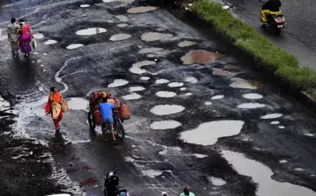 गड्ढों की कृपा से दौड़ती अर्थव्यवस्था: सिविल इंजीनियर देवो भव!