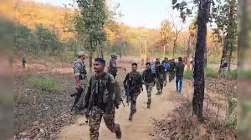 सुकमा मुठभेड़: पाँच लाख का इनामी माओवादी कमांडर ढेर, सुरक्षा बलों की बड़ी सफलता