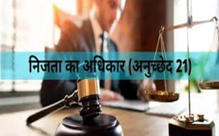 हिस्ट्रीशीटर के घर देर रात दबिश देना निजता का उल्लंघन: इलाहाबाद हाईकोर्ट