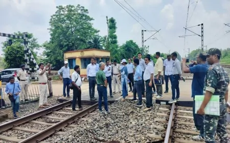 हाथी-ट्रेन टक्कर की घटना के बाद रेलवे और वन विभाग की समन्वय बैठक आयोजित