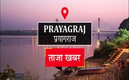 हंडिया में दिनदहाड़े एलआईसी एजेंट की बेरहमी से हत्या, बैट-स्टंप से हमला कर बदमाश फरार