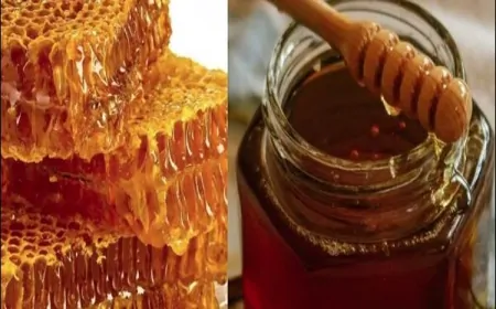 नकली शहद: सेहत के लिए खतरा, असली शहद की ऐसे करें पहचान