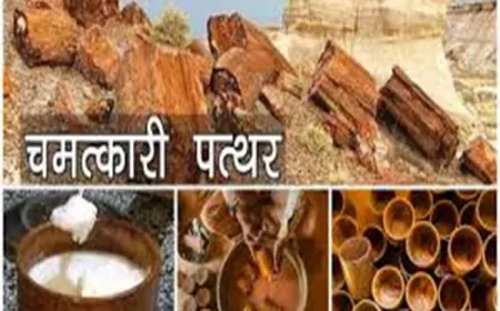 हाबूरिया भाटा: जैसलमेर का रहस्यमयी पत्थर, जो दूध को दही में बदल देता है