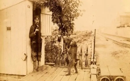 जैक द बाबून: लंगूर जिसने 9 साल बिना गलती की रेलवे नौकरी