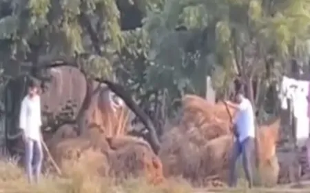 प्रयागराज में चार शस्त्र लाइसेंस हंडिया, घूरपुर और बारा के निरस्त | डीएम की सख्त कार्रवाई