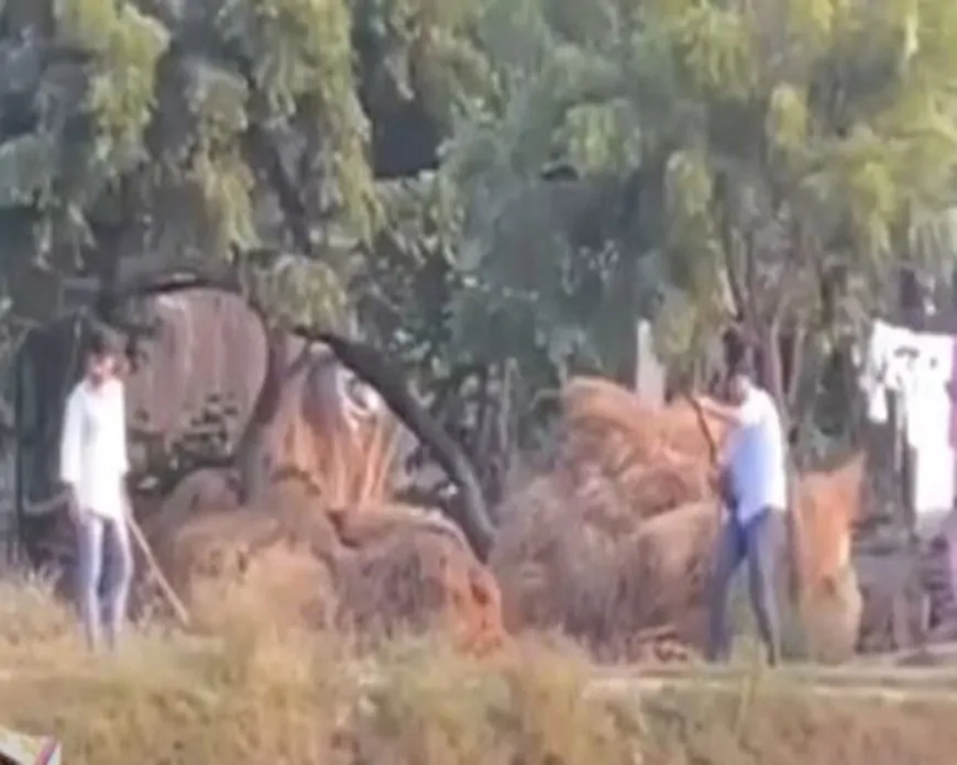 प्रयागराज में चार शस्त्र लाइसेंस हंडिया, घूरपुर और बारा के निरस्त | डीएम की सख्त कार्रवाई