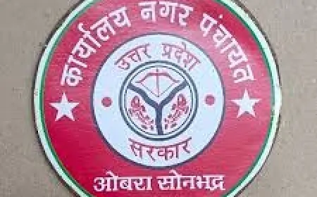 RTI विवाद: ओबरा नगर पंचायत ने अपीलकर्ता से माँगा स्पष्टीकरण