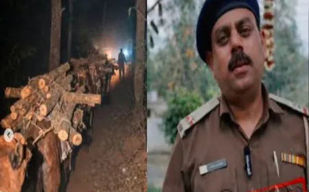 पंचकूला में 10,000 खैर के पेड़ों का अवैध कटान; व्हिसलब्लोअर फॉरेस्ट गार्ड सस्पेंड, जाँच की माँग तेज