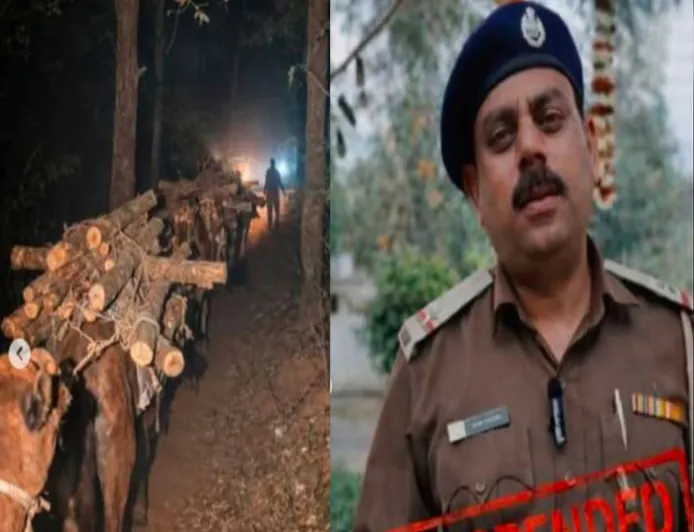 पंचकूला में 10,000 खैर के पेड़ों का अवैध कटान; व्हिसलब्लोअर फॉरेस्ट गार्ड सस्पेंड, जाँच की माँग तेज