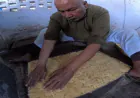 100 साल पुरानी बनारस के घिसियावन साव की सोनपापड़ी